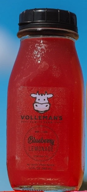 Volleman's Blueberry Lemonade - 12 oz