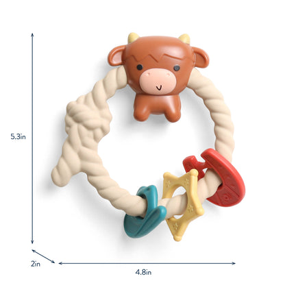 Ritzy Rattle™ Silicone Teether Rattles: Rainbow