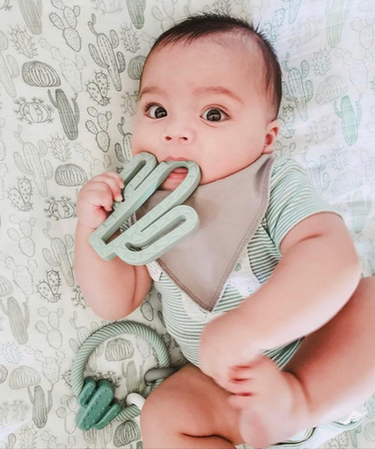Ritzy Rattle™ Silicone Teether Rattles: Rainbow