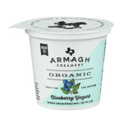Blueberry Yogurt