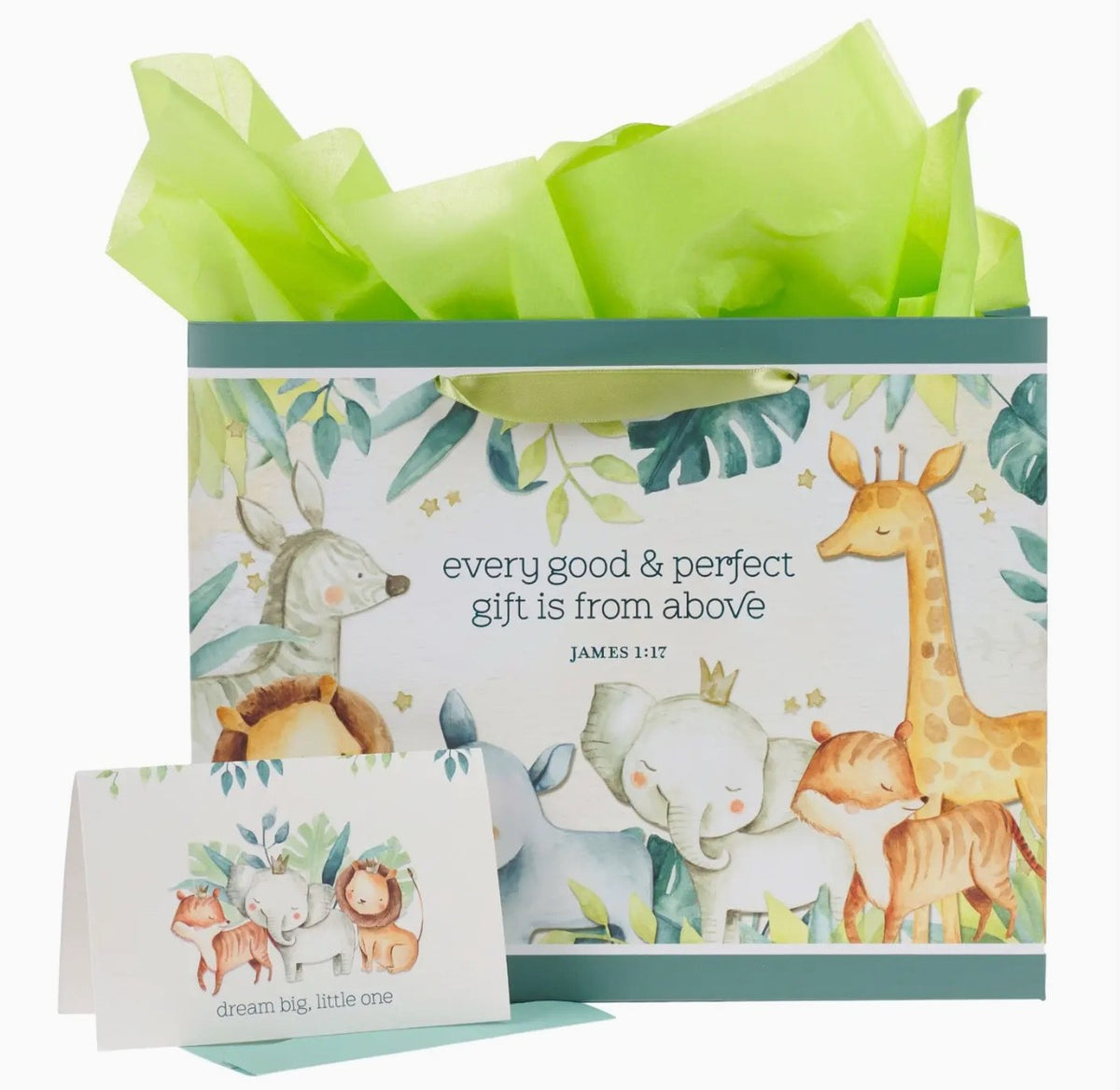 Gift Bag w/Card - "Every Good and Perfect Gift..." - Large