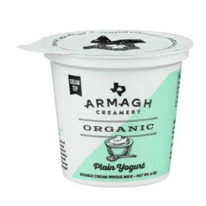 Plain Yogurt